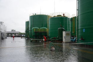 江漢油田江漢采油廠鐘市聯合站 多措并舉，筑牢暴雨天氣下天然氣管道儲運安全防線